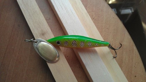 IMAG0065.jpg