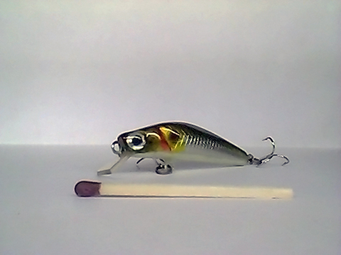 Snapshot_20110217_39.jpg