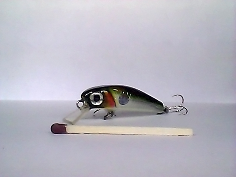 Snapshot_20110217_38.jpg