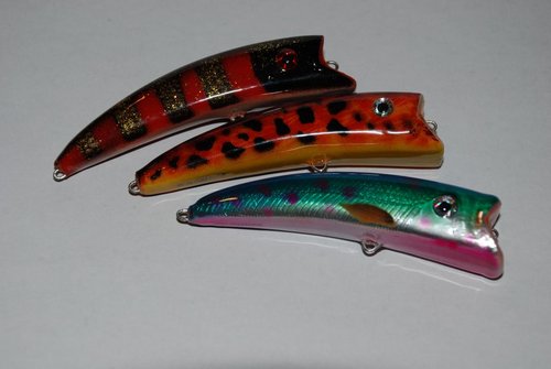 DSC_6254.JPG