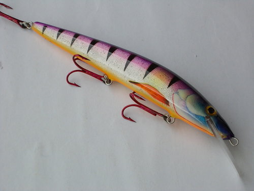 DSCN4400.JPG