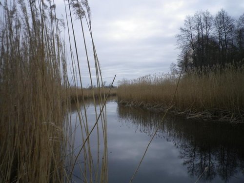 IMGP2098.JPG