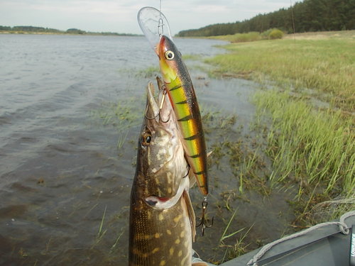 DSCN4545.JPG