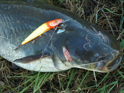 DSCN4535.JPG