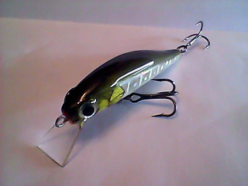 Snapshot_20110226_20.jpg