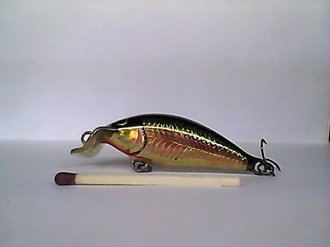 Snapshot_20110217_53.jpg