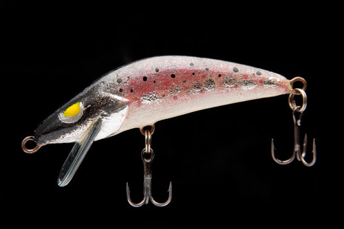 iDSC_3667.jpg
