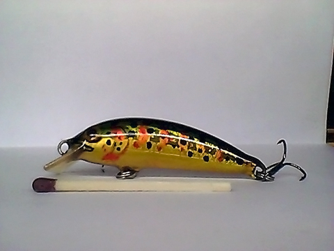 Snapshot_20110217_48.jpg