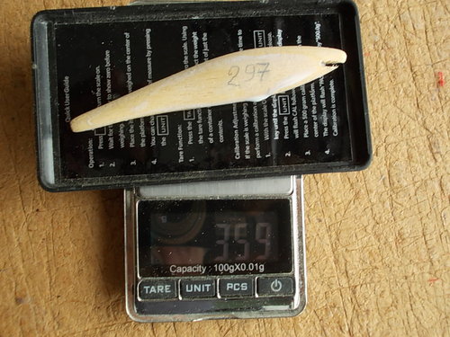 DSCN4591.JPG