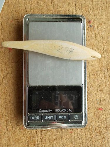 DSCN4595.JPG