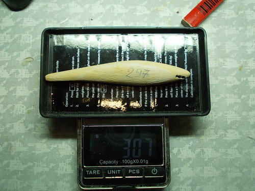 DSCN4600.JPG