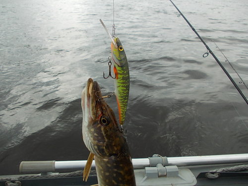 DSCN4609.JPG