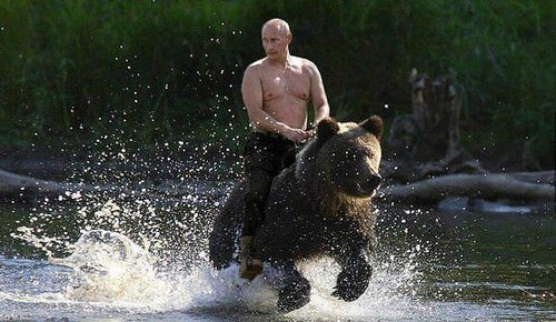 putinbear.jpeg