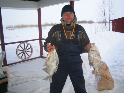 IMG_1327_.jpg
