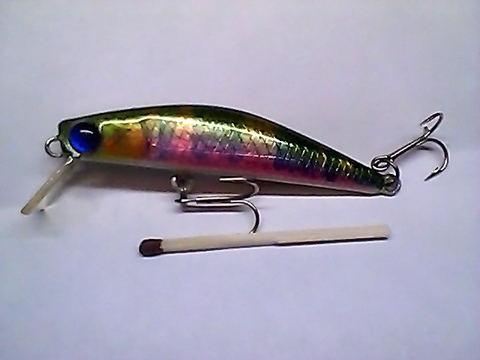 Snapshot_20110216_36.jpg