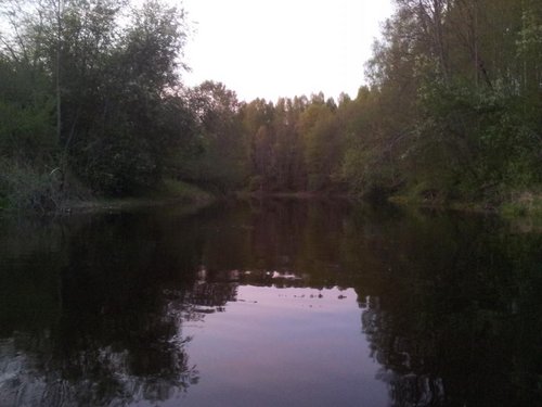 20140518_043223.jpg