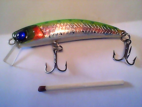 Snapshot_20110216_37.jpg