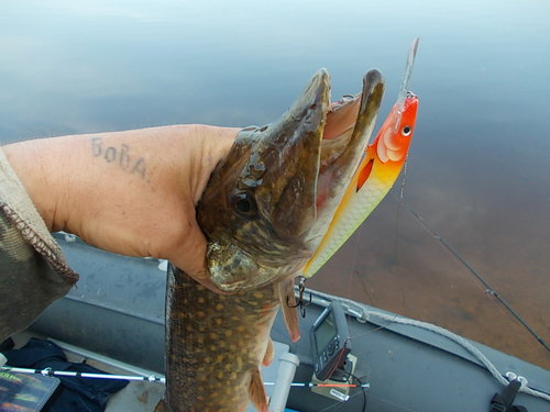 DSCN4662.JPG