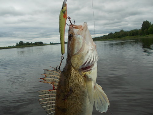 DSCN4664.JPG