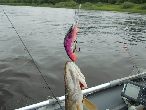 DSCN4672.JPG