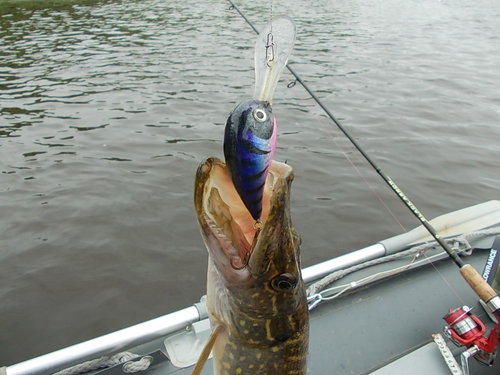 DSCN4681.JPG