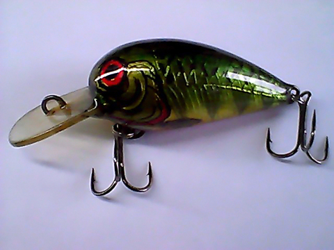 Snapshot_20110301_11.jpg