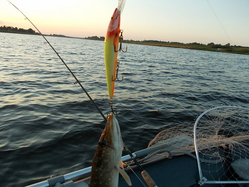 DSCN4689.JPG