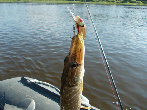 DSCN4699.JPG
