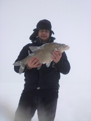 26022011235_1.jpg
