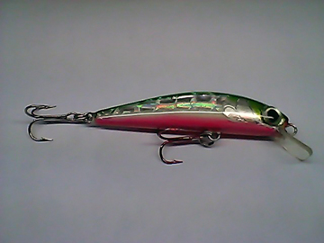 Snapshot_20110303_14.jpg