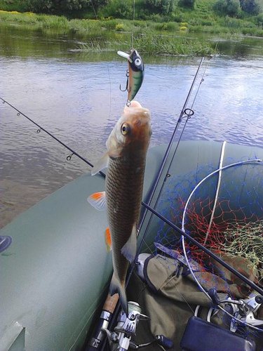 IMG_20140613_102350.jpg (88.71 КБ) 2609 просмотров Последнее фото героя !