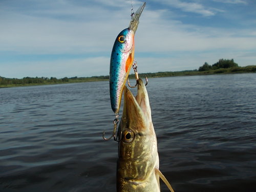 DSCN4737.JPG
