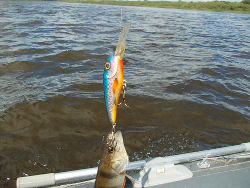 DSCN4741.JPG