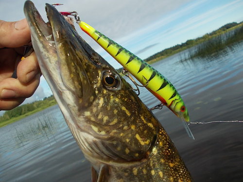 DSCN4875.JPG