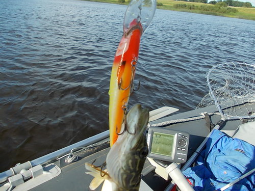 DSCN4882.JPG