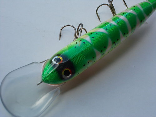 DSCN4806.JPG