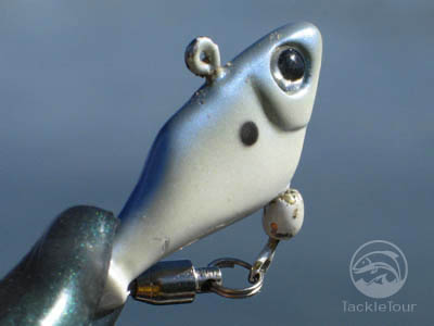 picshornet07.jpg