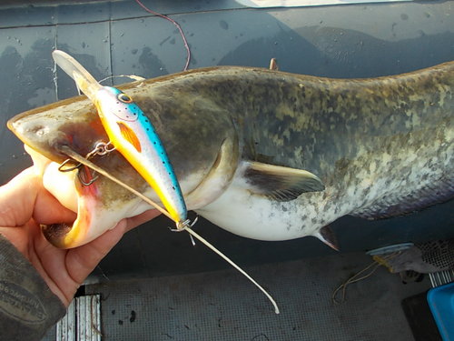 DSCN5052.JPG