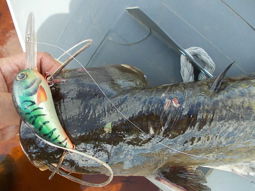 DSCN5063.JPG