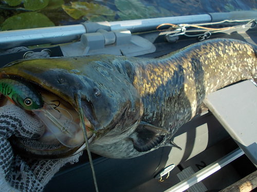 DSCN5056.JPG