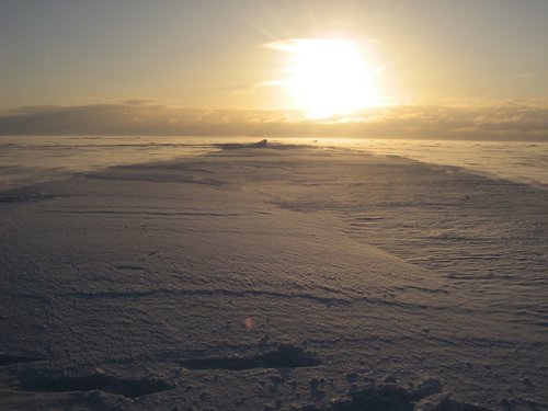 IMG_6584.jpg