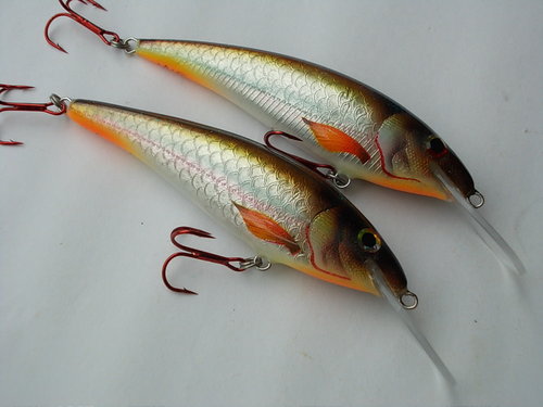 DSCN5078.JPG