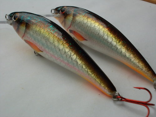 DSCN5090.JPG