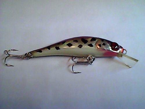 Snapshot_20110307_51.jpg
