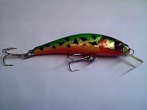 Snapshot_20110307_56.jpg
