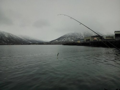 WP_001144.jpg