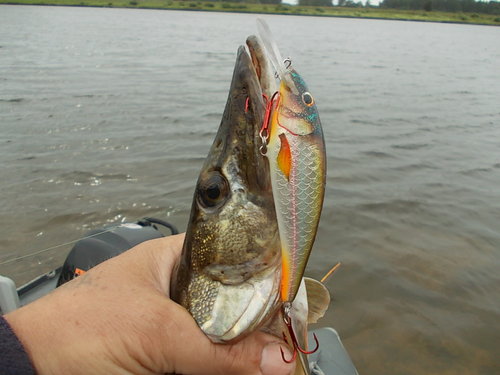 DSCN5279.JPG
