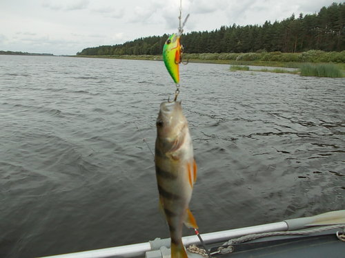 DSCN5275.JPG