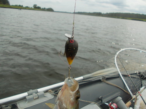 DSCN5269.JPG
