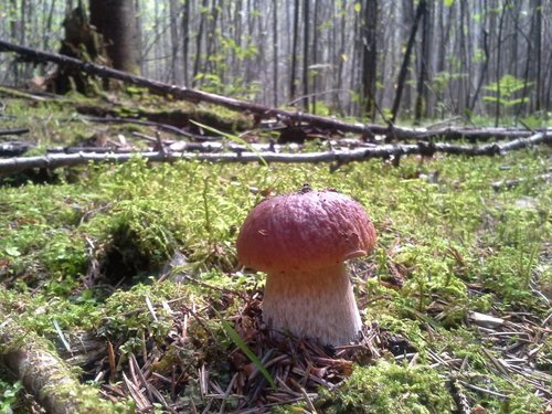 20140823_144440.jpg